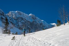 IMG_9019