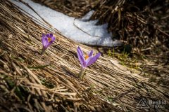 IMG_9090