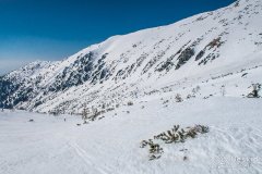 IMG_9095