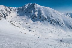 IMG_9102
