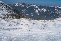 IMG_9117