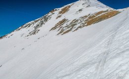 IMG_9231