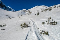 IMG_9166