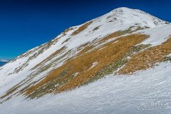 IMG_9174