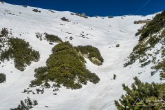 IMG_9229