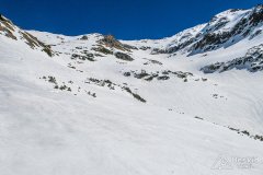 IMG_9230