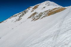 IMG_9231