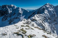 IMG_9261