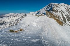 IMG_9307