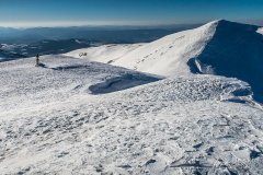 IMG_9310