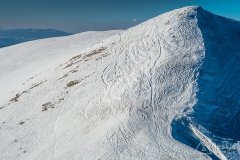 IMG_9313