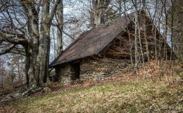 IMG_9538