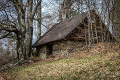 IMG_9538