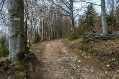 IMG_9542