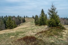IMG_9549