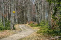 IMG_9551