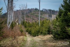 IMG_9552