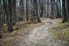 IMG_9553
