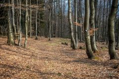 IMG_9555