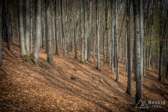 IMG_9556