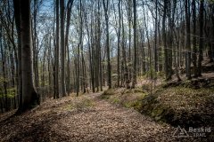 IMG_9557
