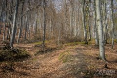 IMG_9558