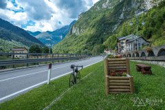 IMG_9768