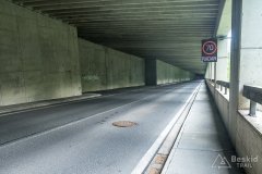 IMG_9771