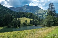 IMG_9773