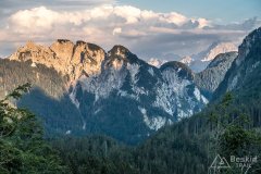 IMG_9782