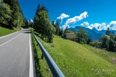 IMG_9790