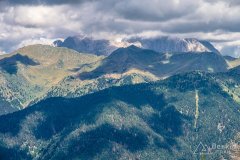 IMG_9794