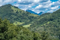 IMG_9811