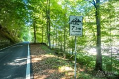 IMG_9820