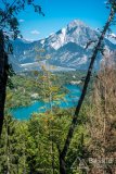 IMG_9834