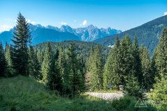 IMG_9841