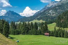 IMG_9847