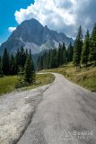 IMG_9853