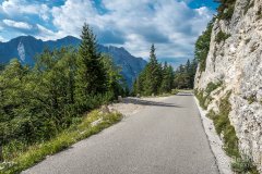 IMG_9861