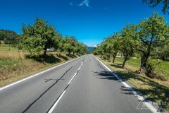 IMG_9872