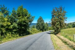 IMG_9873