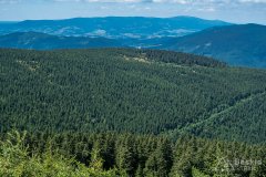IMG_9876