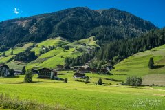 IMG_9893