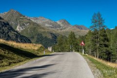 IMG_9900