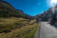 IMG_9901