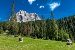 IMG_9917