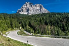 IMG_9919