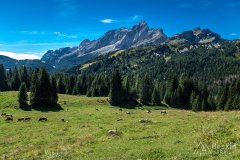 IMG_9920