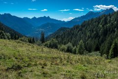 IMG_9925
