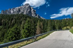 IMG_9926